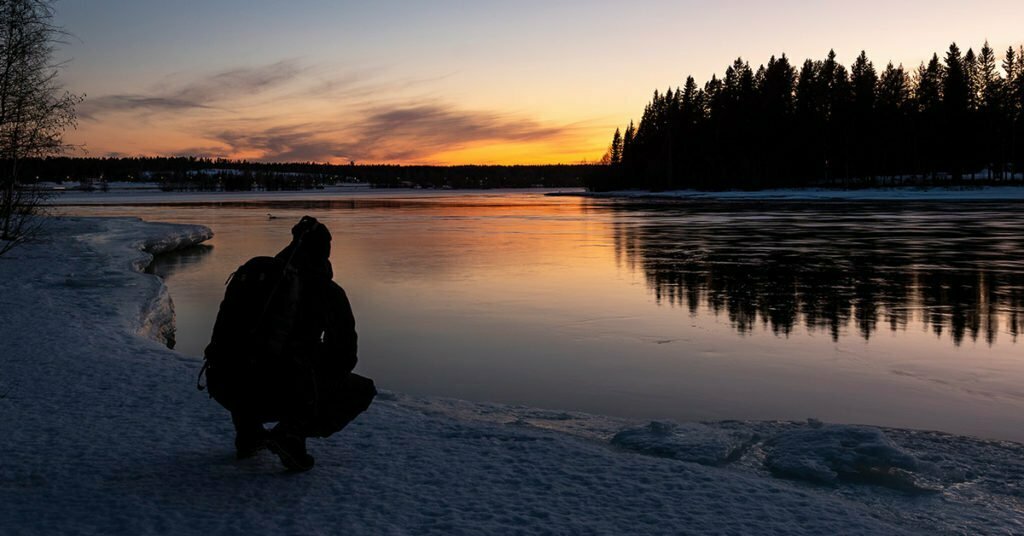 Spanar på svanar i Gäddvikssudet under skymningen en vårvinterkväll i Luleå