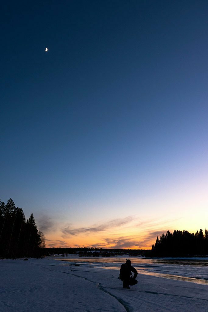 Spanar efter svanar i Gäddvikssundet i Luleå