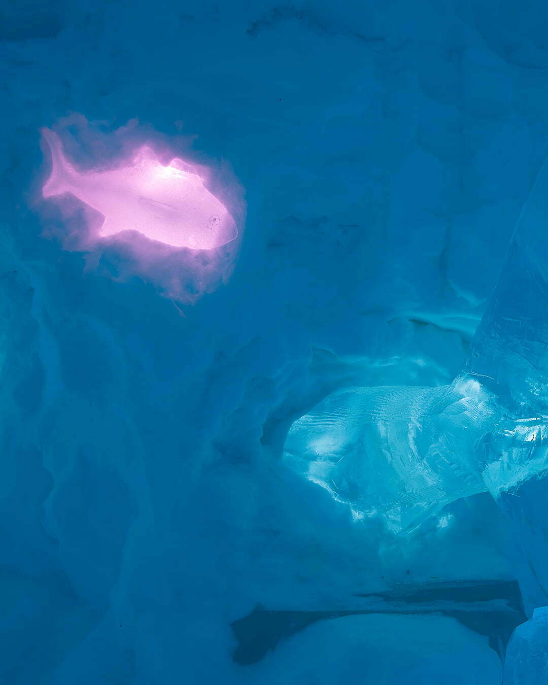 Icehotel Jukkasjärvi isskulptur The living ocean