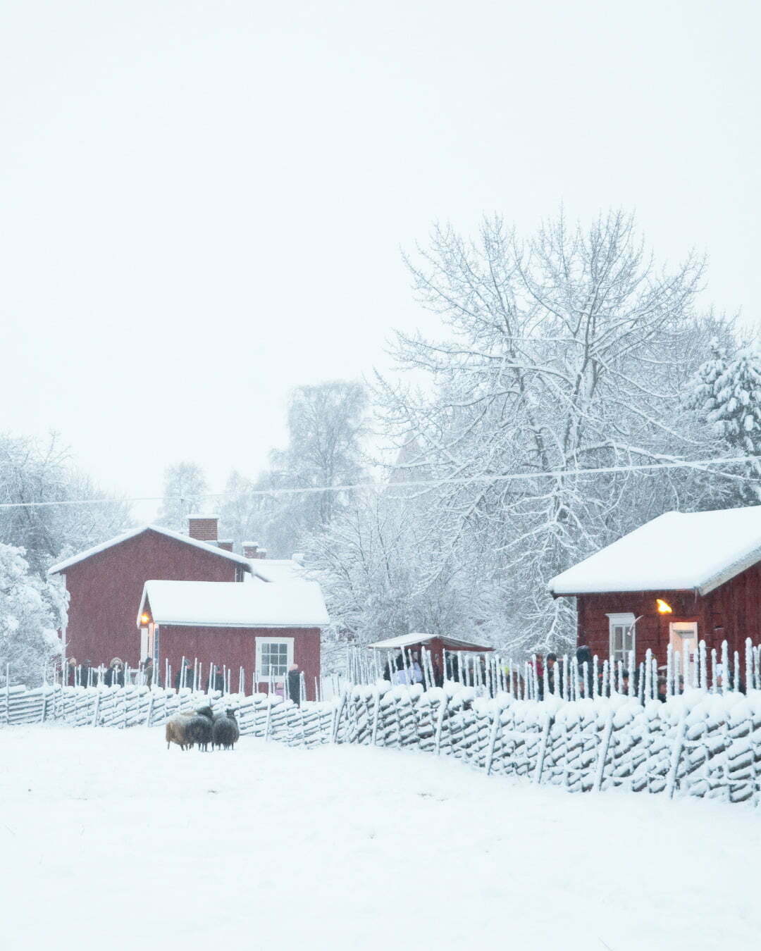 Julmarknad på Hägnan och Gammelstad kyrkstad
