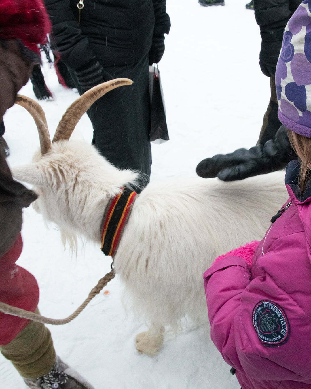Julmarknad på Hägnan och Gammelstad kyrkstad