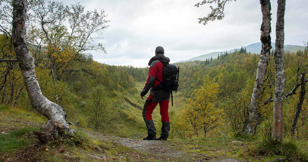 Vandring Bjurälven och Vildmarksvägen