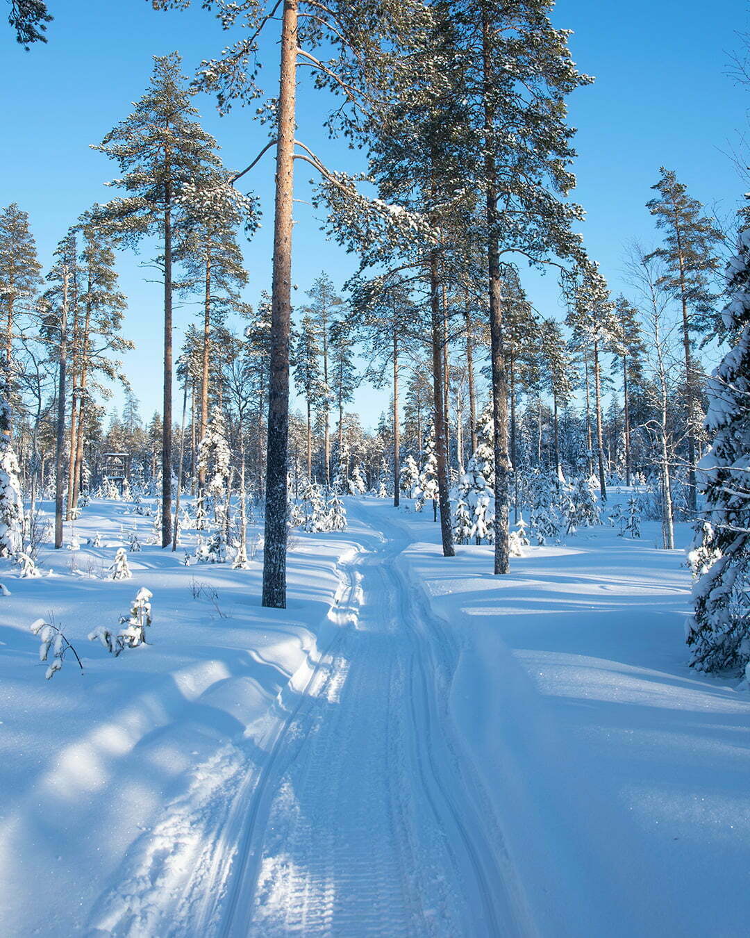 Skotertur för grupper i Luleå skärgård med Brändö Lodge