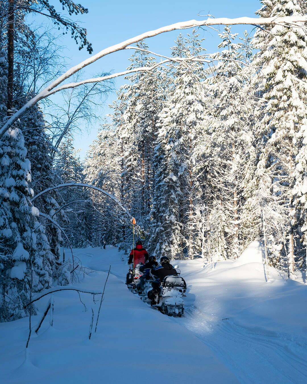 Skotertur för grupper i Luleå skärgård med Brändö Lodge