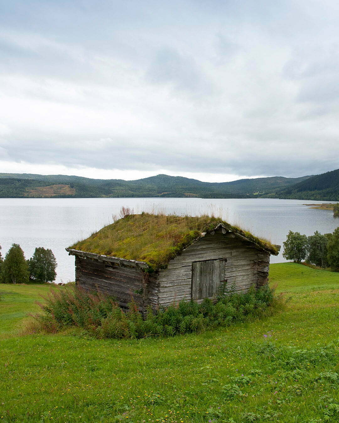 Lada med grästak i fjällen