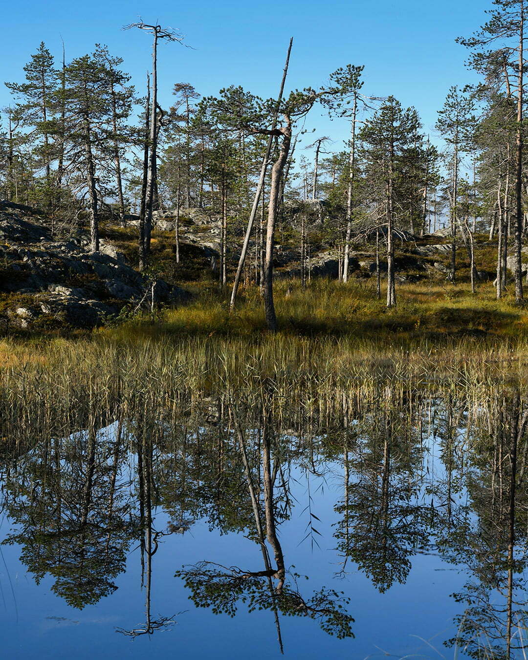 Speglingar i vattnet intill Trollforsen