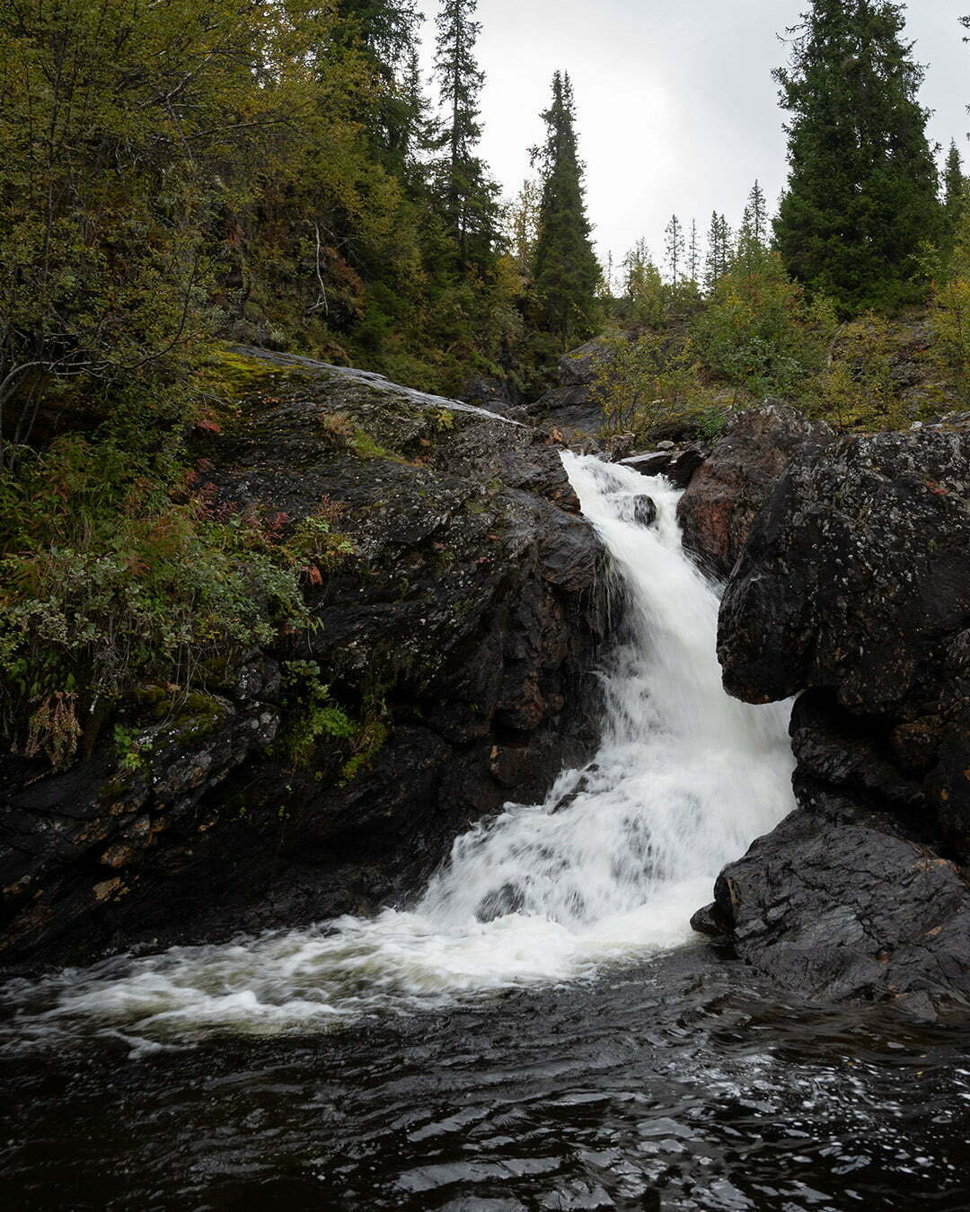 Vattenfall i Bjurälvens naturreservat