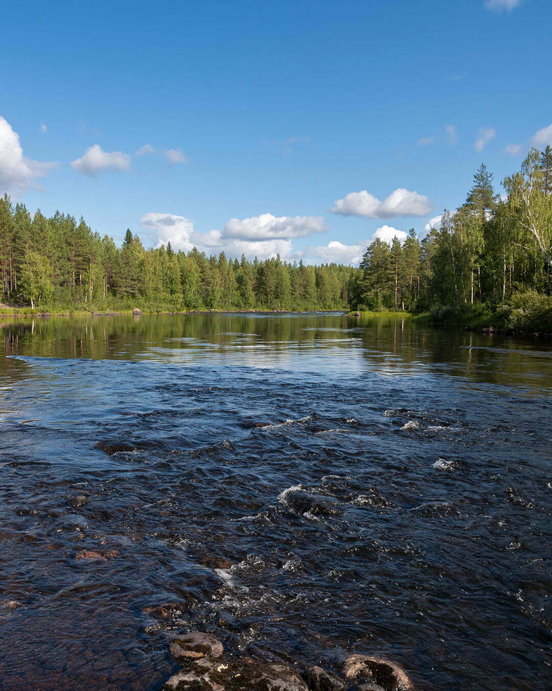 Lassbyforsen i Råne älvdal