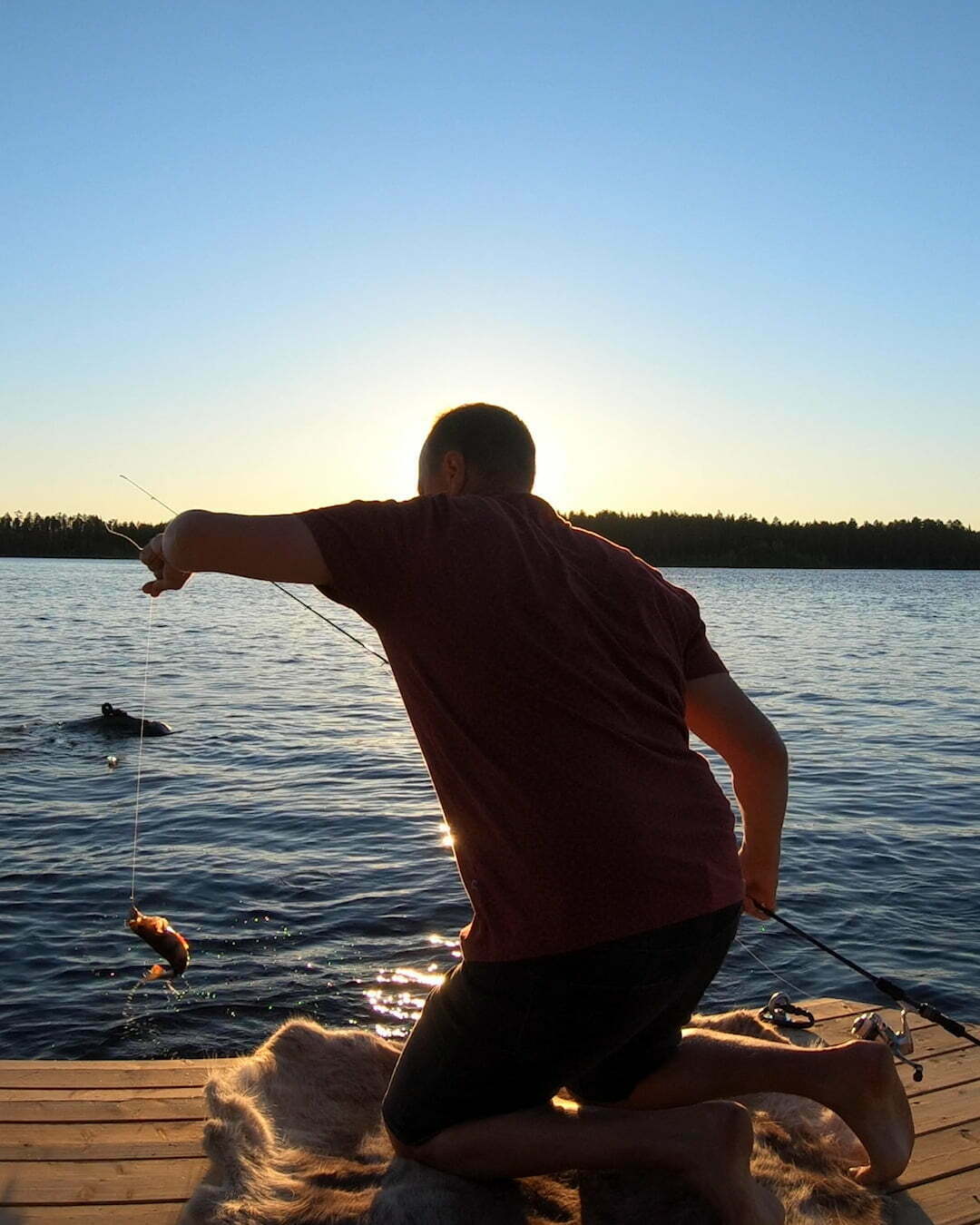 Fiske på Midnight sun boat i Luleälven