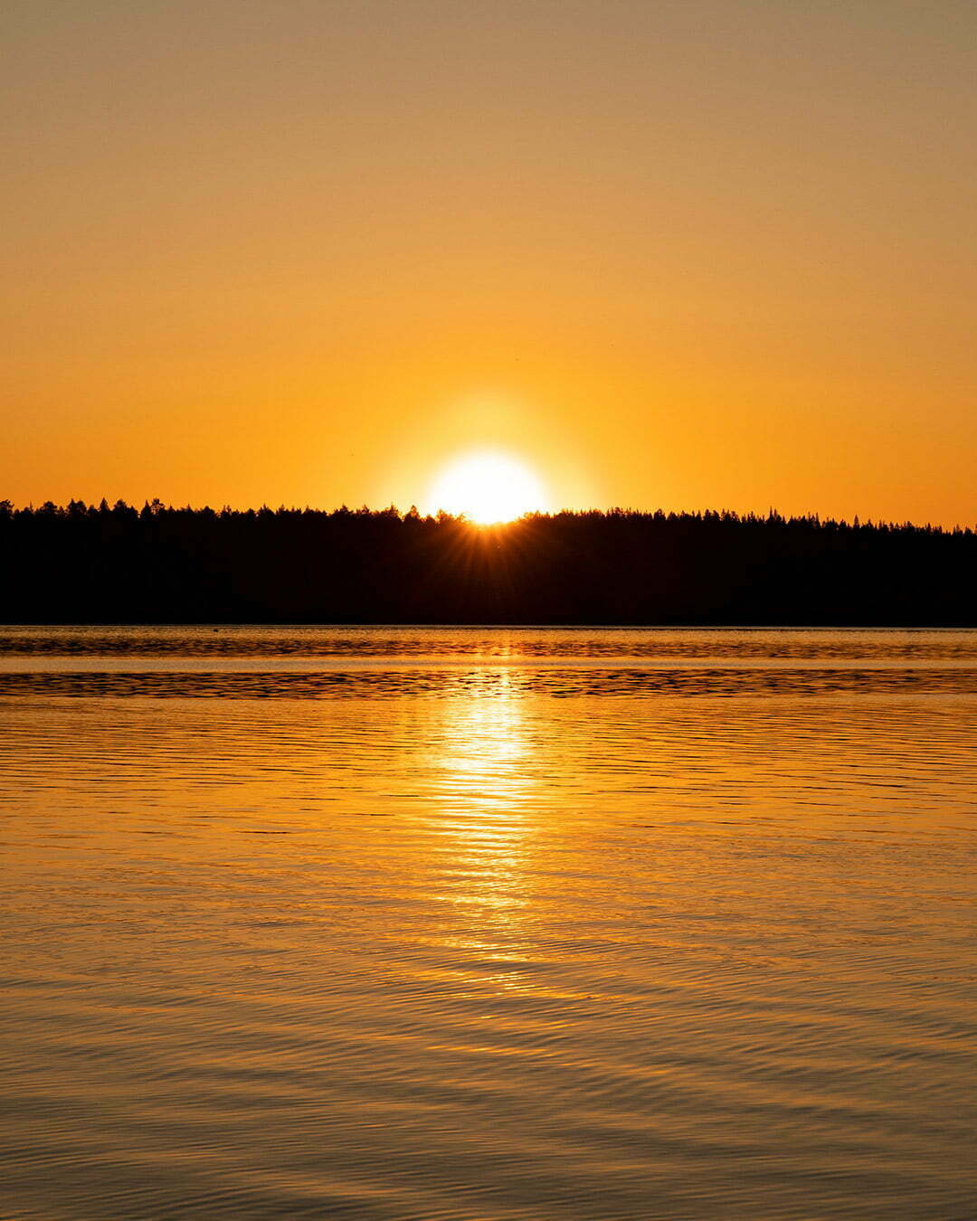 Äkta midnattssol över Luleälven vid Jokkmokk