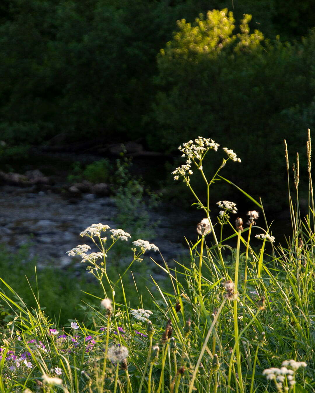 Sommar vid Melderstein Herrgård