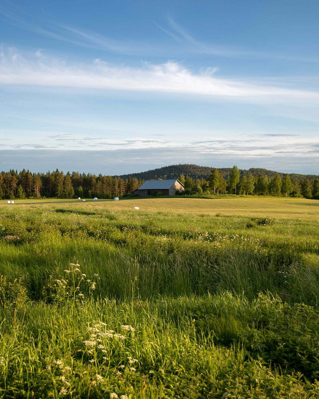 Sommar vid Melderstein Herrgård