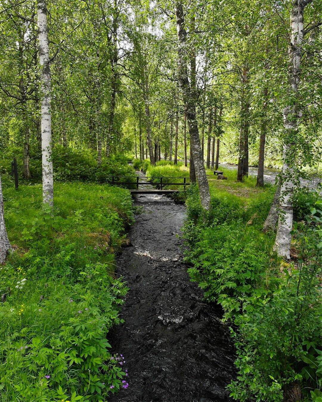 Sommar vid Melderstein Herrgård