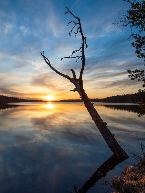 Solnedgång över Hertsöträsk stående bild 00065