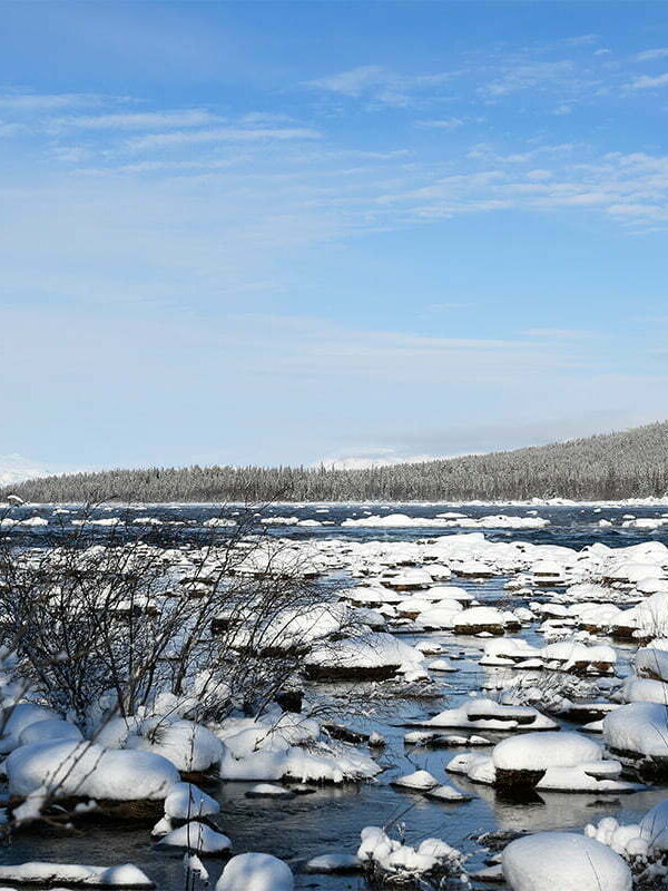 Jaurekaska vår vinter vid forsen 1200x800 px bild 00049 Jaurekaska vår vinter vid forsen 1200x800 px bild 00049