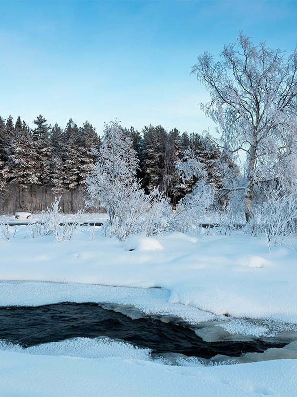 Prästholmsforsen i Råne älvdal vinter nysnö 1200x800 px bild 00047 Prästholmsforsen i Råne älvdal vinter nysnö 1200x800 px bild 00047