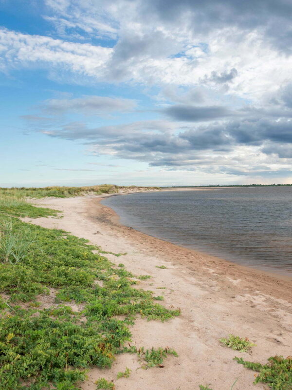 Stranden på ön Skvalpen i Luleå skärgård 1080x1620 px bild 00030 Stranden på ön Skvalpen i Luleå skärgård