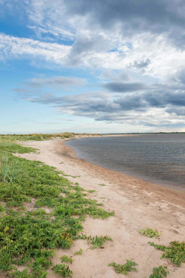 Stranden på ön Skvalpen i Luleå skärgård 1080x1620 px bild 00030 Stranden på ön Skvalpen i Luleå skärgård