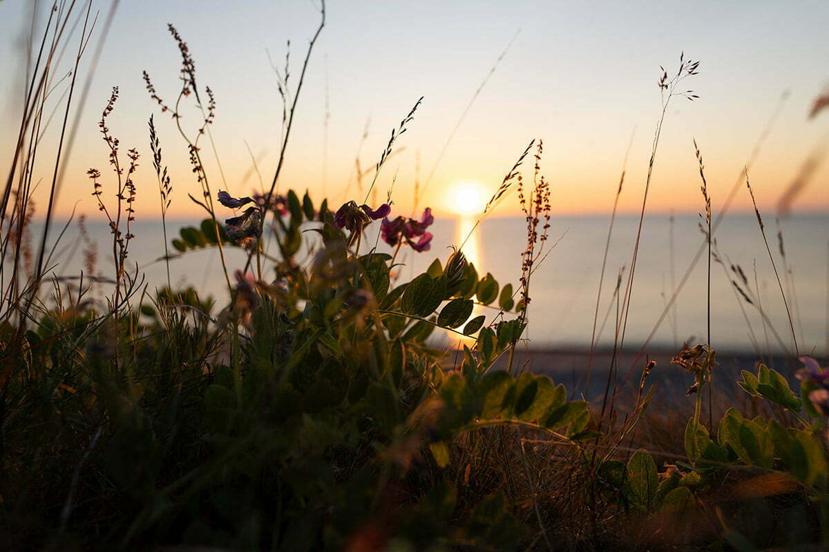 Malören Bottenviken Kalix solnedgång strandvial