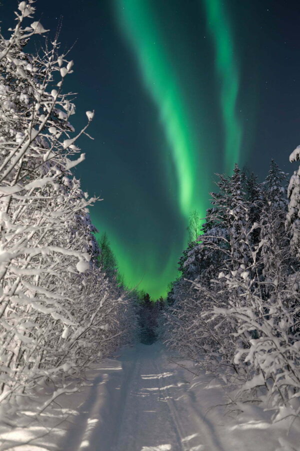 Norrsken över Ormbergets vinterstigar i Luleå vinter snö 1080x1620 bild 00132