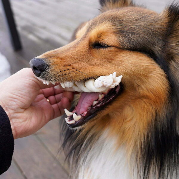 Cliff Sheltie från Braided stick från Farm Food 1080x1080-k70 Cliff Sheltie från Braided stick från Farm Food