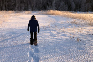 Snöskovandring en vinterdag i skärgården